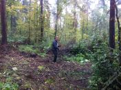 vorbereitung_lagerfeuer_05